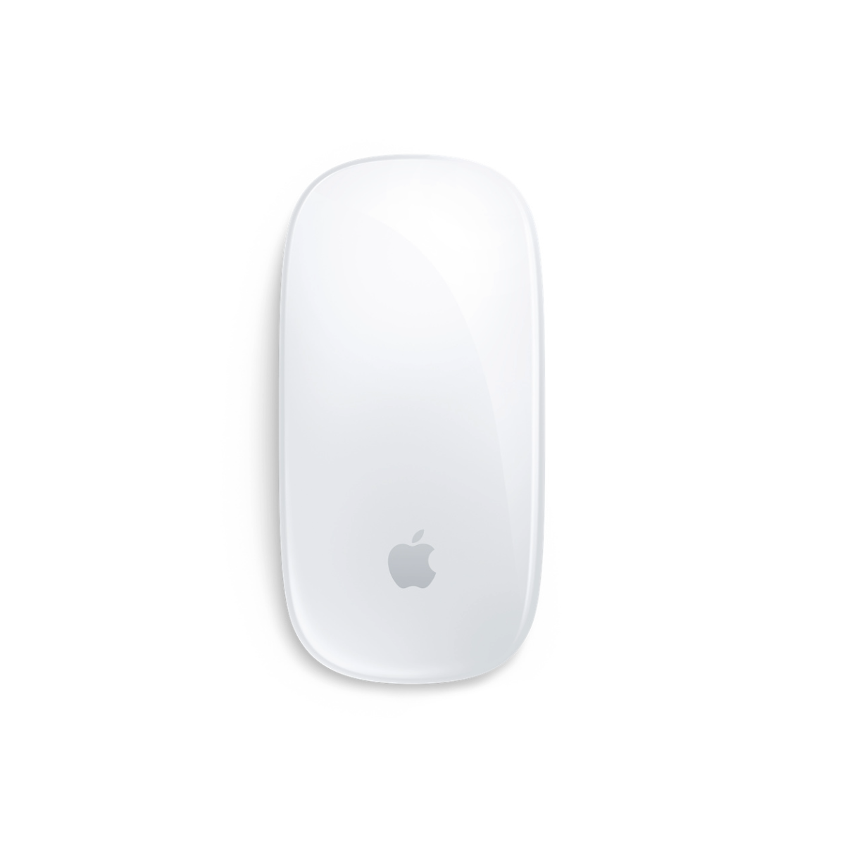Magic Mouse (USB-C) Multi-Touch Surface
